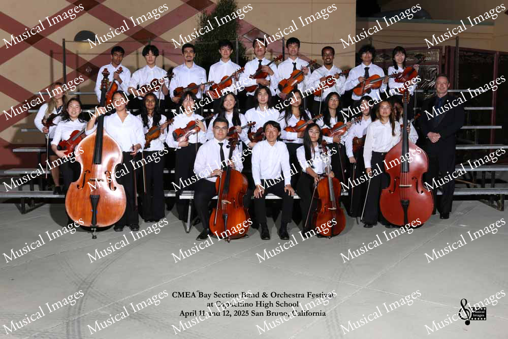 Musical Images